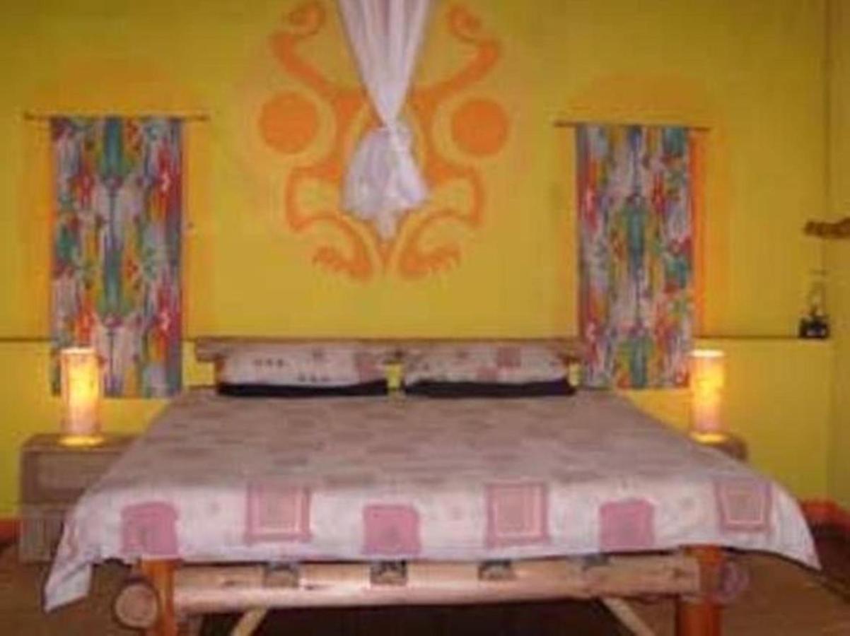 Amapondo Backpacker Lodge Port Saint Johnʼs Exterior foto